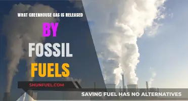 Fossil Fuels and Climate Change: Unveiling the Primary Greenhouse Gas Emitted