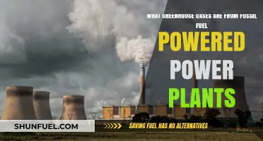 Fossil Fuel Power Plants: Major Greenhouse Gas Emissions Sources