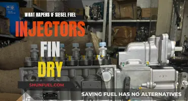 Dried Diesel Injectors: What Are the Consequences?
