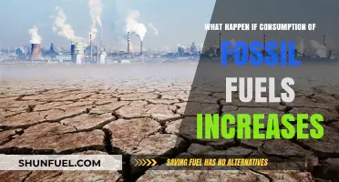 Rising Fossil Fuel Use: Consequences for Climate, Health, and Future Generations