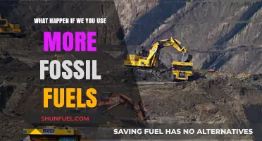 The Devastating Consequences of Increasing Fossil Fuel Dependence
