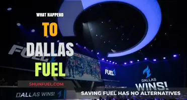 What Happened to Dallas Fuel? Analyzing Their Overwatch League Journey