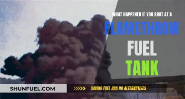 Flamethrower Fuel Tank: What Could Happen If Shot?
