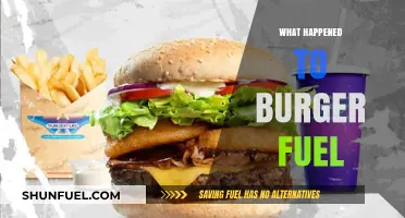 Burger Fuel's Decline: Unraveling the Fast-Food Chain's Struggles and Fate