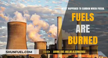 The Fate of Carbon: Unraveling Fossil Fuel Combustion's Impact