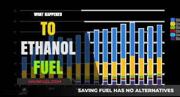 The Rise and Fall of Ethanol Fuel: What Went Wrong?
