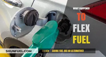The Decline of Flex Fuel: What Happened to the Alternative Fuel?