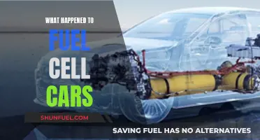 The Future of Fuel Cell Cars: What Happened?