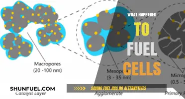 What Happened to Fuel Cells? Exploring the Decline and Future Potential