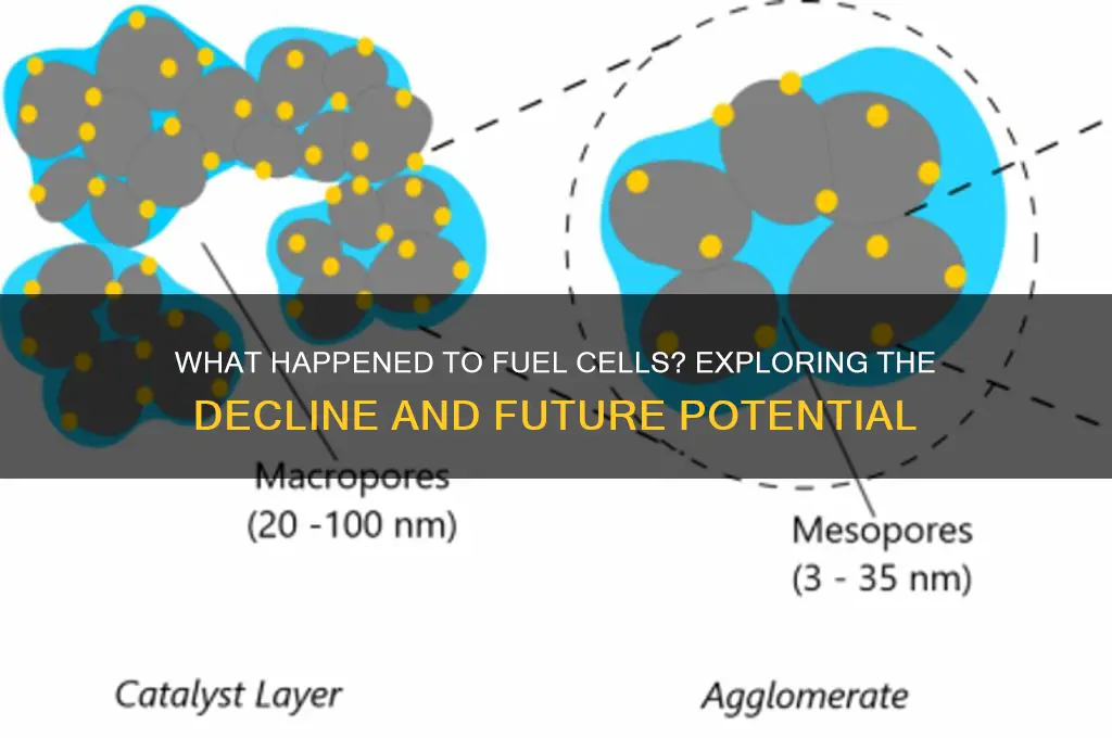 what happened to fuel cells