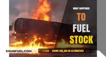 Fuel Stock Crash: Unraveling the Sudden Market Decline and Future Outlook