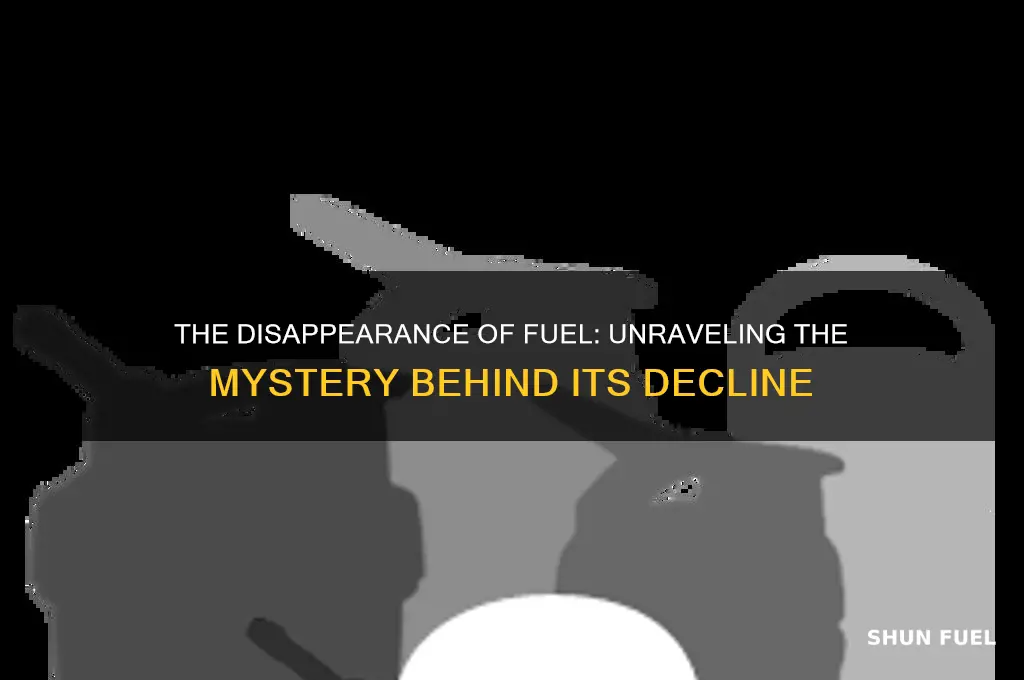 what happened to fuel