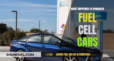Hydrogen Fuel Cell Cars: Where Did They Go?