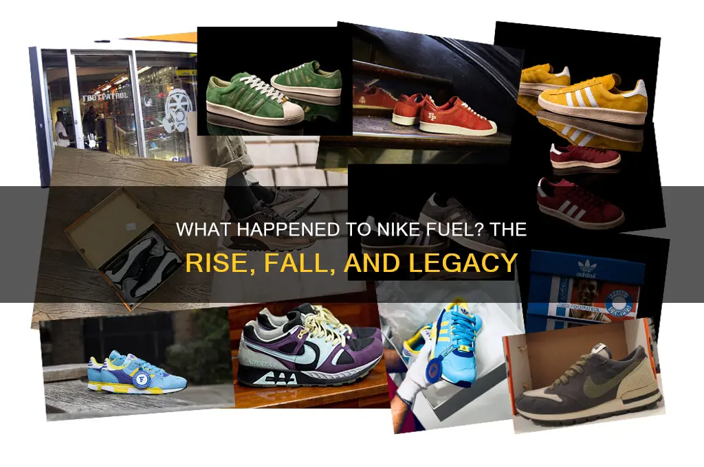 what happened to nike fuel