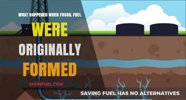 The Ancient Origins of Fossil Fuels: A Journey Through Time
