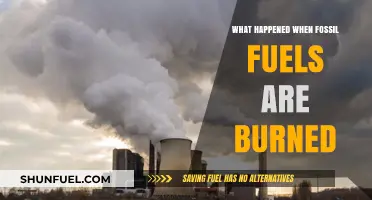 Burning Fossil Fuels: Unveiling the Environmental and Climatic Consequences
