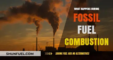 Fossil Fuel Combustion: Unveiling the Chemical Reactions and Environmental Impacts