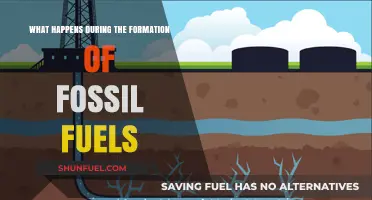 The Ancient Process: How Fossil Fuels Form Over Millions of Years