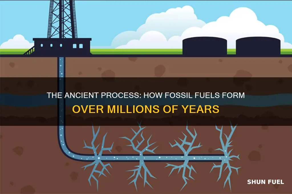 what happens during the formation of fossil fuels