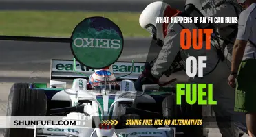 F1 Car Running on Empty: What's the Verdict?