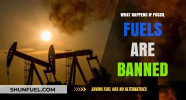 Banning Fossil Fuels: Economic, Environmental, and Societal Impacts Explored