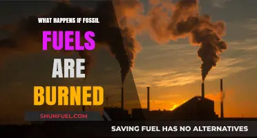 Burning Fossil Fuels: Consequences for Climate, Health, and Our Future