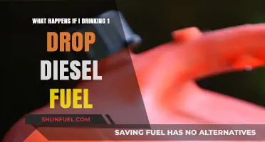 A Drop of Diesel: Exploring the Health Risks