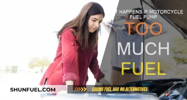 Fuel Pump Overload: Too Much Fuel, What Now?