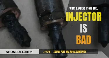 Fuel Injector Failure: Impact and Implication