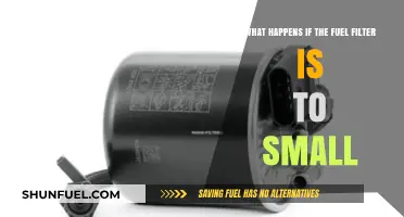 Small Fuel Filter: Big Engine Problems
