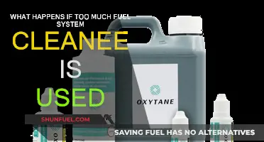 Fuel System Cleaner Overuse: What Are the Risks?