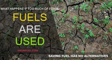 The Dark Side of Fossil Fuel Dependence