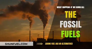 Burning All Fossil Fuels: Catastrophic Climate Consequences and Earth's Future