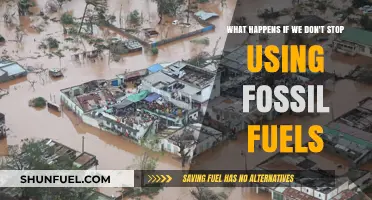 The Devastating Consequences of Ignoring Fossil Fuel Dependence
