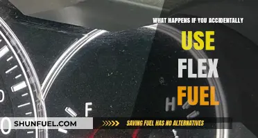 Accidentally Used Flex Fuel? Here's What Happens to Your Car