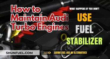 Skipping Fuel Stabilizer: Risks of Untreated Gas in Your Engine