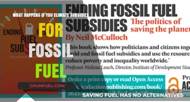 Ending Fossil Fuel Subsidies: Economic Shifts, Environmental Gains, and Global Impacts