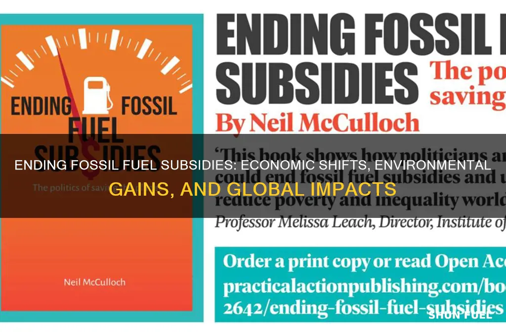 what happens if you elimate subsidies for fossil fuel