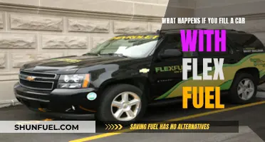Flex Fuel in Regular Cars: What's the Impact?