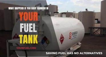 Varnish in Your Fuel Tank: What are the Consequences?