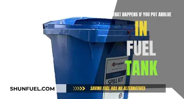 AdBlue in Your Fuel Tank: What's Next?