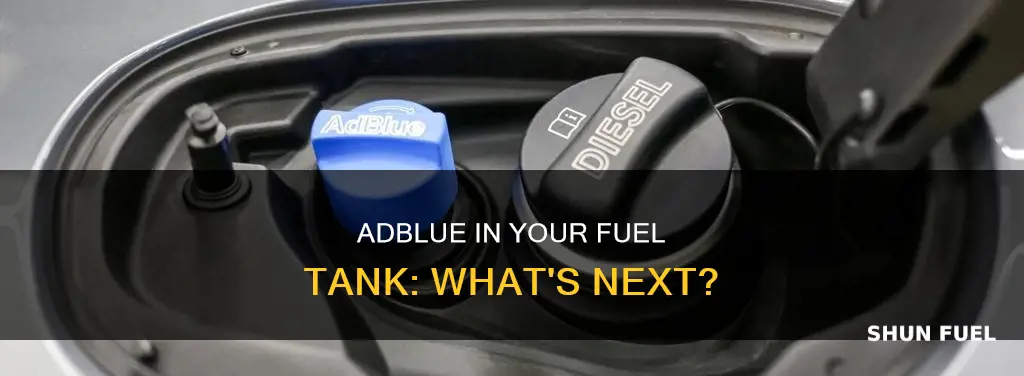 what happens if you put adblue in fuel tank