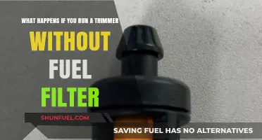 Trimmer Trouble: No Fuel Filter, Now What?