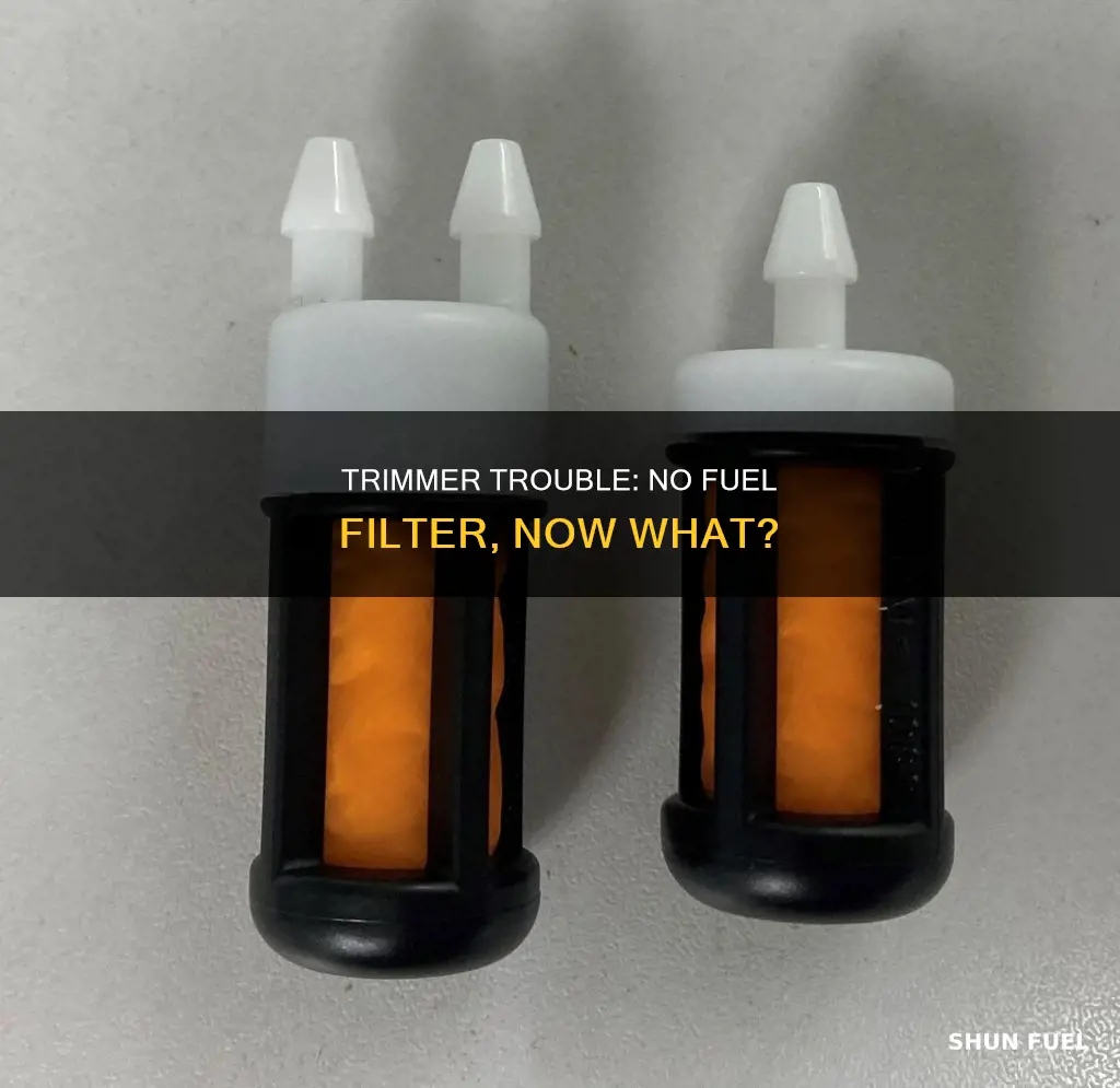 what happens if you run a trimmer without fuel filter