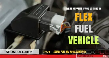 E87 in Flex Fuel Vehicles: Risks, Performance, and Engine Impact