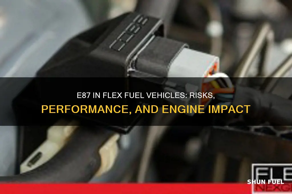 what happens if you use e87 in flex fuel vehicle