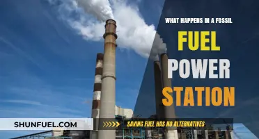 Inside Fossil Fuel Power Stations: Processes, Energy Generation, and Environmental Impact