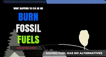 Burning Fossil Fuels: Impact on C14 Levels and Climate Change