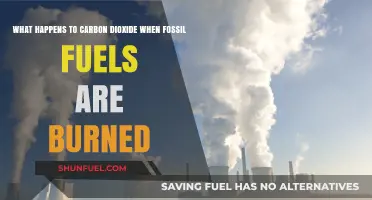Burning Fossil Fuels: The Fate of Released Carbon Dioxide Explained
