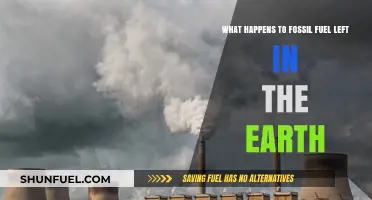 The Unseen Legacy: Earth's Buried Fossil Fuels and Their Fate